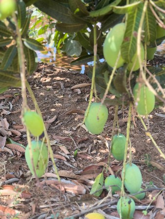 थंबनेल 3