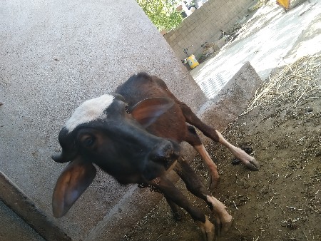 थंबनेल 2