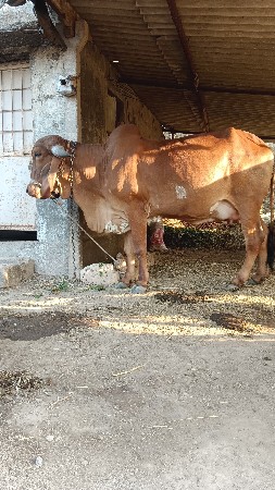 थंबनेल 2