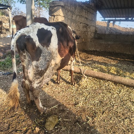 5દિવશ ની કાશી સે