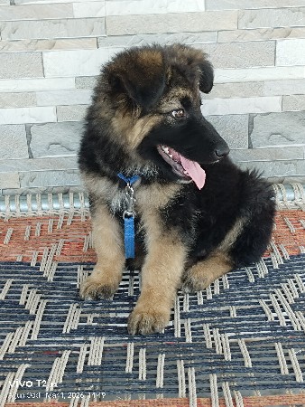 થંબનેલ 3