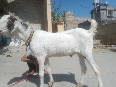 थंबनेल 2