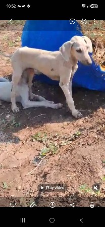 થંબનેલ 2