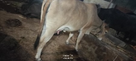 थंबनेल 2