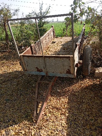 थंबनेल 3