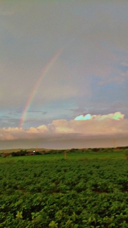 થંબનેલ 3