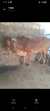 થંબનેલ 2