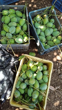 थंबनेल 3