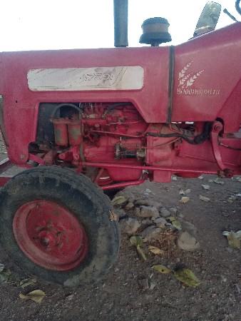 થંબનેલ 3