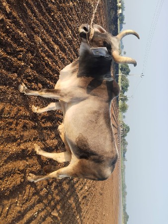 थंबनेल 3