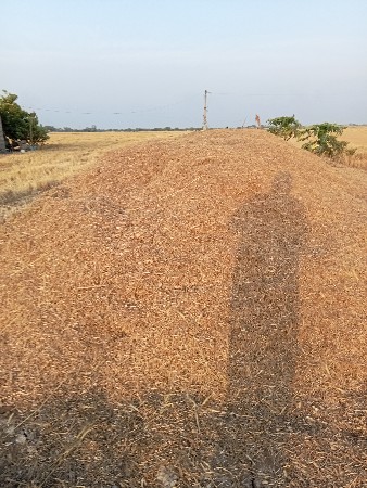 માંડવીનો ભુકો વેચવાનો છે