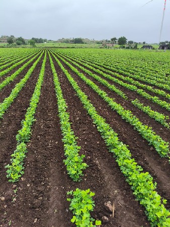 જમીન વેચવાની છે