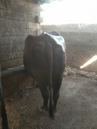 थंबनेल 3