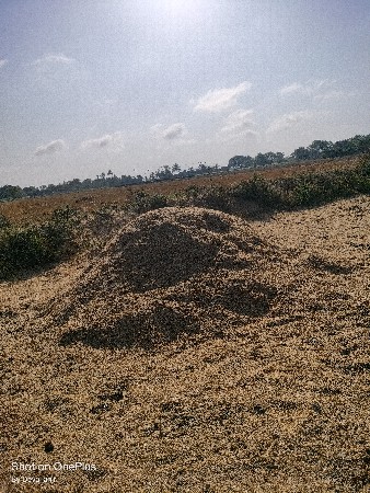 ચણા નુ ખારીયુ વેચવાનુ છે