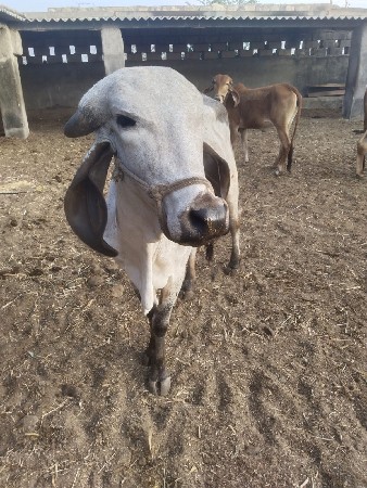 थंबनेल 3