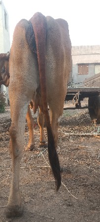 થંબનેલ 2