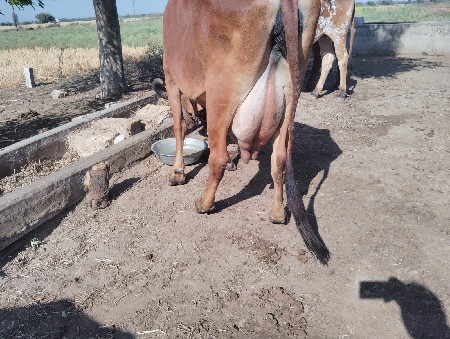 थंबनेल 2