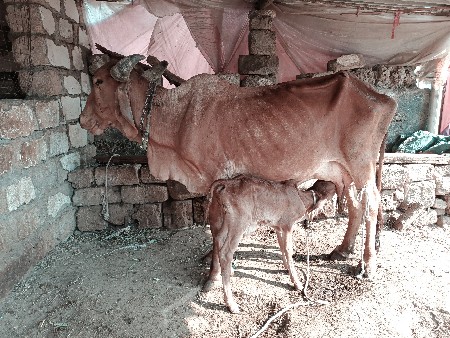 थंबनेल 2