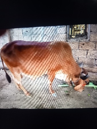 थंबनेल 2