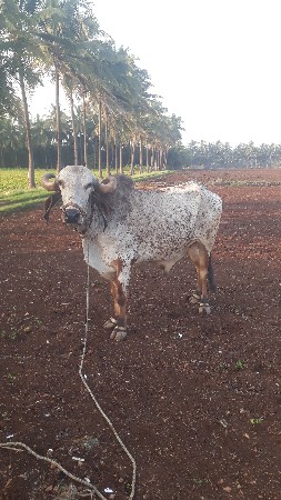 थंबनेल 2