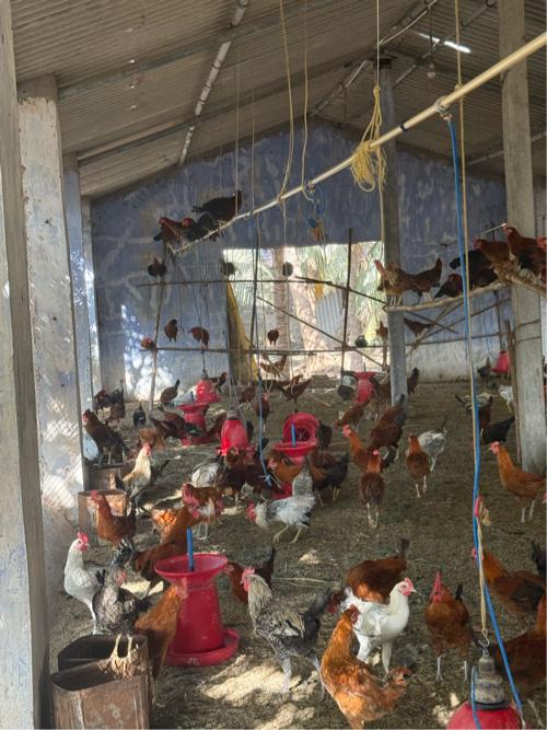 थंबनेल 3