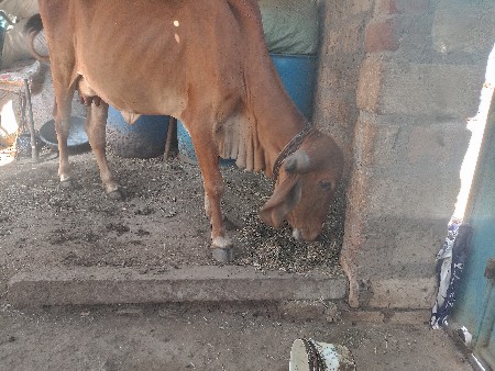 थंबनेल 2