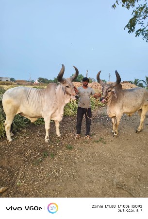 थंबनेल 2