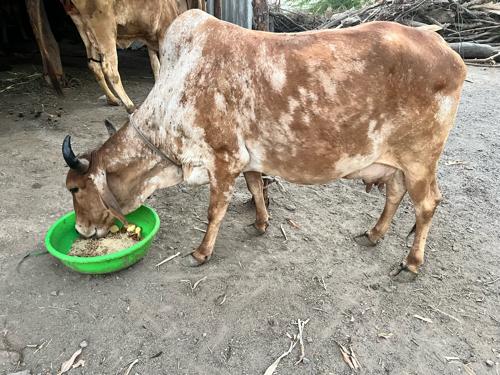 थंबनेल 3