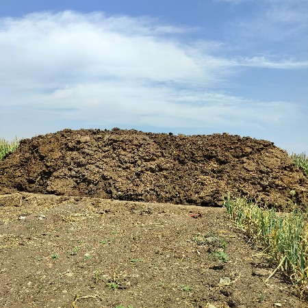 છાણીયું ખાતર