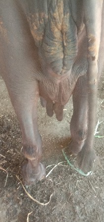 थंबनेल 3