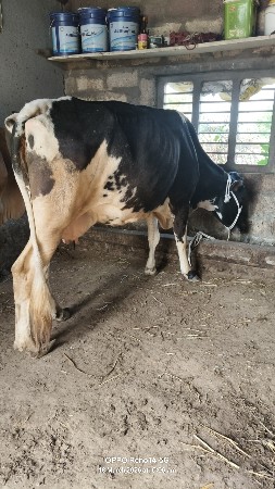 थंबनेल 5