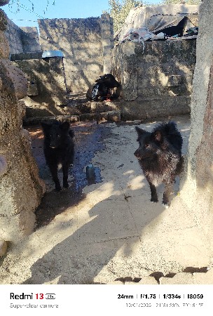 थंबनेल 3