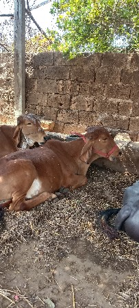 વિશ્વની