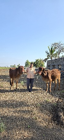 થંબનેલ 3