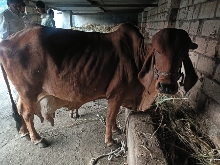 थंबनेल 2