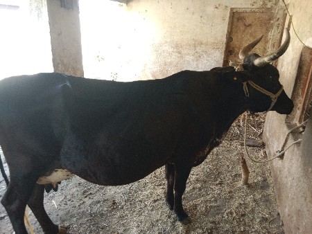 थंबनेल 3