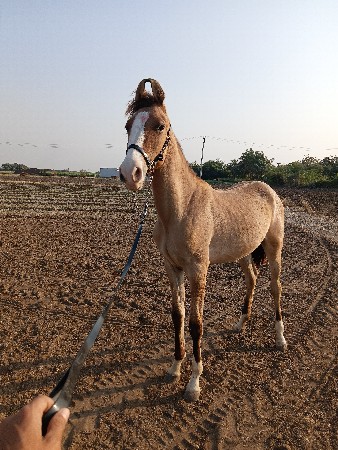 થંબનેલ 3