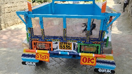 થંબનેલ 2