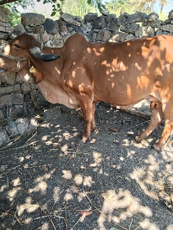 थंबनेल 2