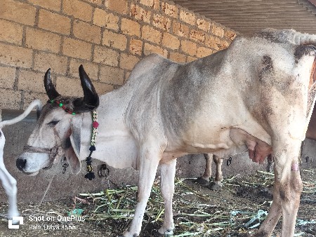 थंबनेल 3