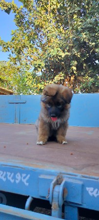 થંબનેલ 3