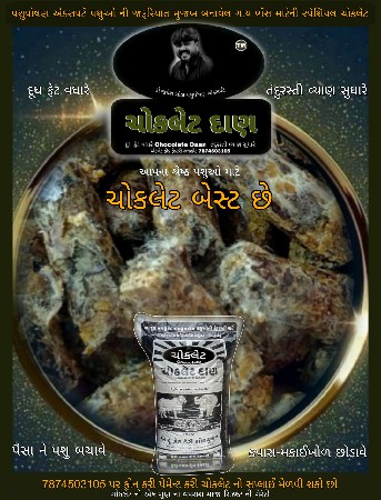 ગાય ભેંસ માટેની સ્પેશિયલ ચોકલેટ