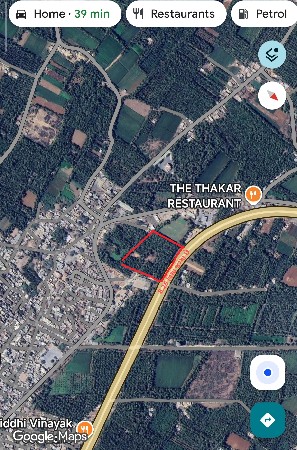 નારિયેળી નો બગીચો..