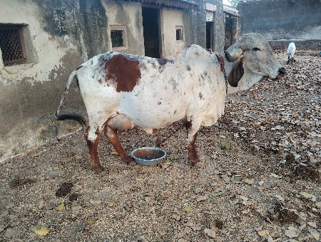 थंबनेल 3