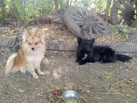 थंबनेल 2