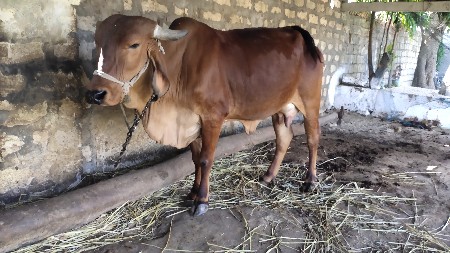 थंबनेल 2