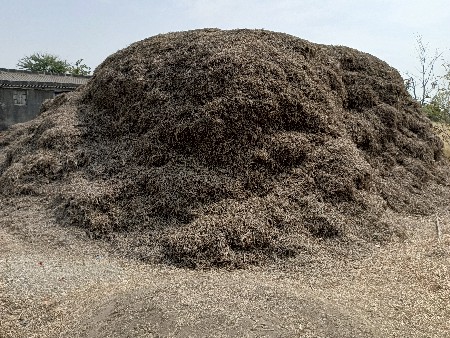 જી-૨૦ માંડવી નો ભુક્કો-પાલો