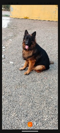 थंबनेल 3