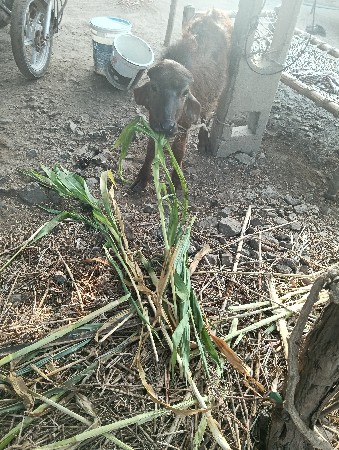 થંબનેલ 3