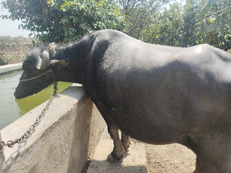 થંબનેલ 3